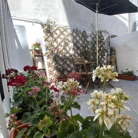 Vesevo 게스트하우스 4*