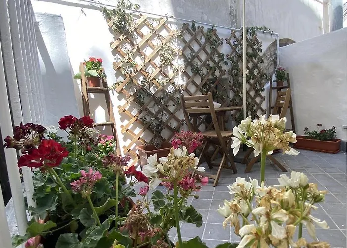 Vesevo 게스트하우스 4*